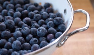 http://barharborjam.com/maine-gifts/skin1/images/cover/wild-maine-blueberries.jpg